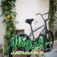 دوچرخه جاینت bmx